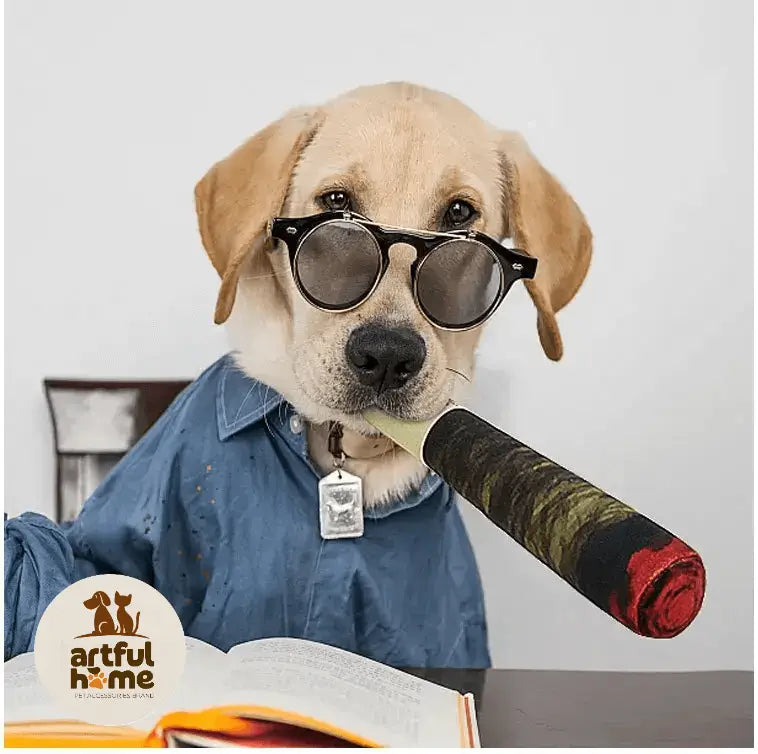 Funny Interactive Dog Toys