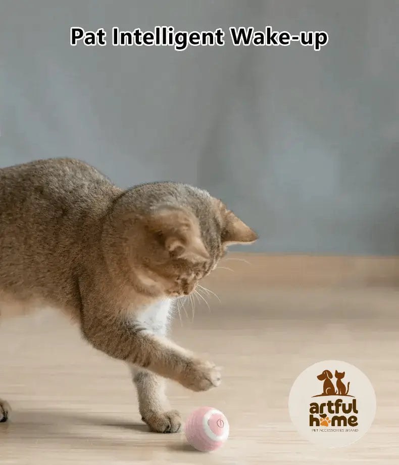 Spin Ball Things for Cats Toys