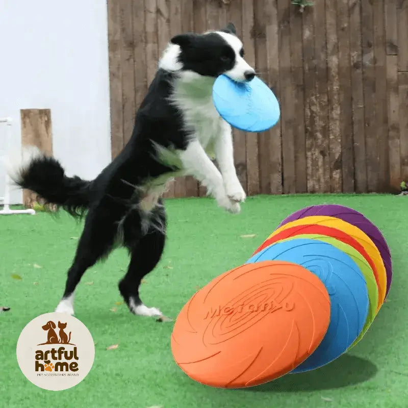 Flying Disc Toys For Dog
