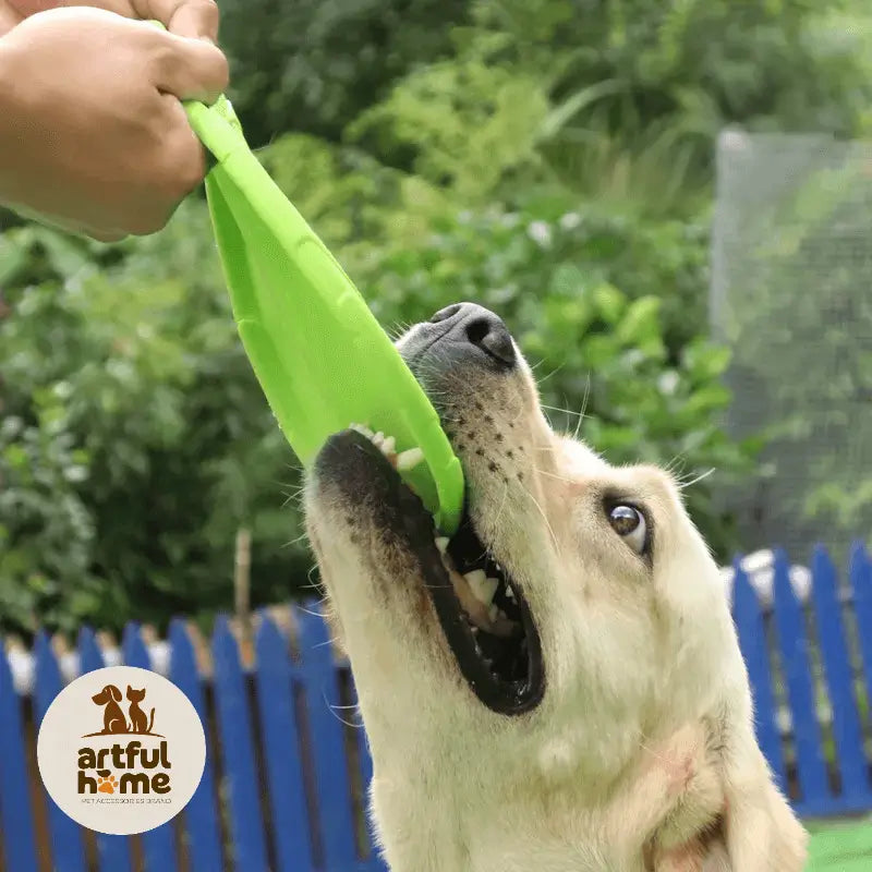 Flying Disc Toys For Dog